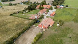 DJI_0545