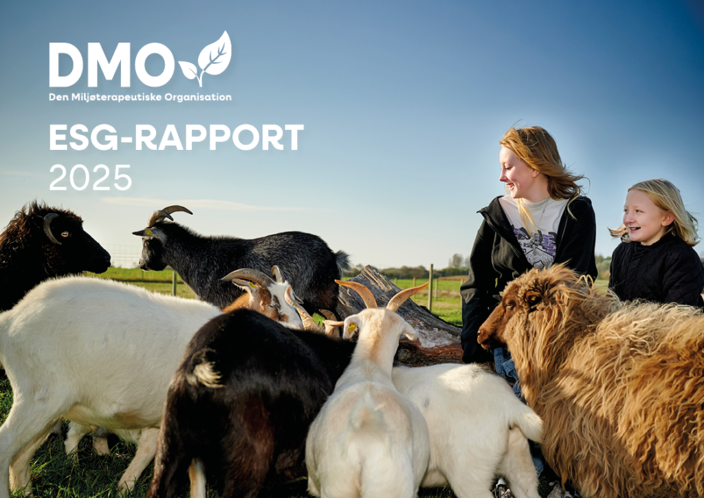 Dmo esg rapport 2025 forside